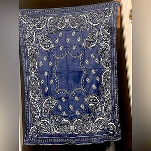 NWOT large wrap/scarf/travel blanket super soft Paisley 30 x 40" reversible blue